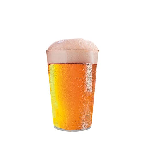 C086-10_Cerveja-500x500